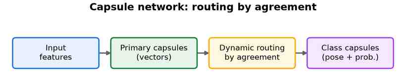 A horizontal flow: input features, primary capsules that output vectors, dynamic routing by agreement, class capsules carrying pose and probability