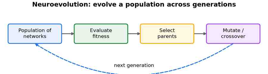 A loop from a population of networks to fitness evaluation, parent selection, mutation and crossover, and back to a new population