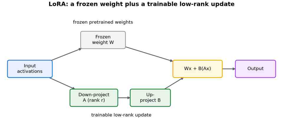 Input activations feeding a frozen weight W and a trainable low-rank branch of down-projection A and up-projection B, summed into the output