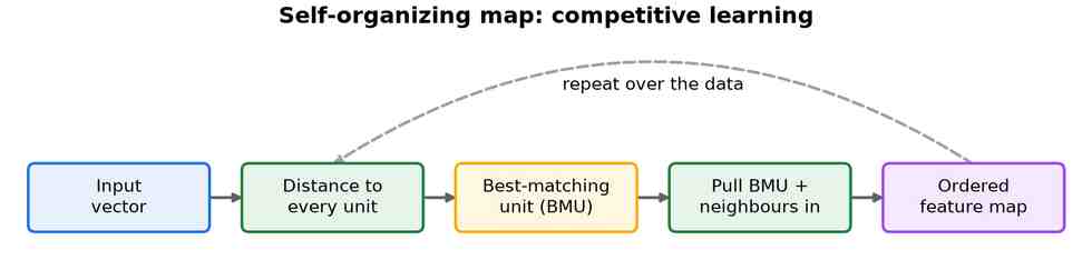 A horizontal flow: input vector, compute distance to every unit, pick the best-matching unit, pull the best unit and its neighbours toward the input, ordered feature map, with a dashed loop back over the data