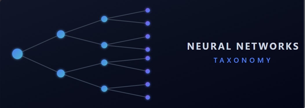 Neural Networks Taxonomy