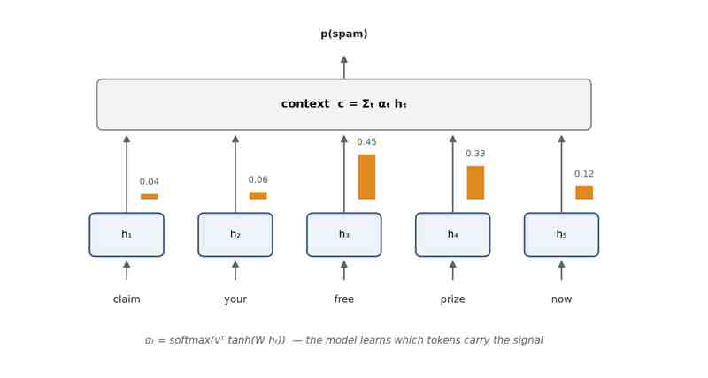 Attention pooling: every hidden state is scored by a learned query vector, softmaxed into weights, and averaged into one context vector