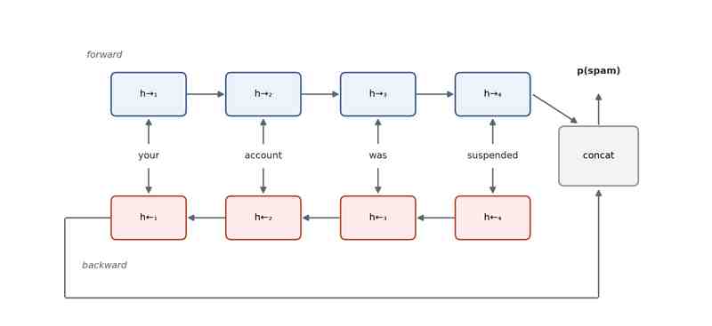 Two LSTMs reading the same token sequence in opposite directions, their final hidden states concatenated into one feature vector