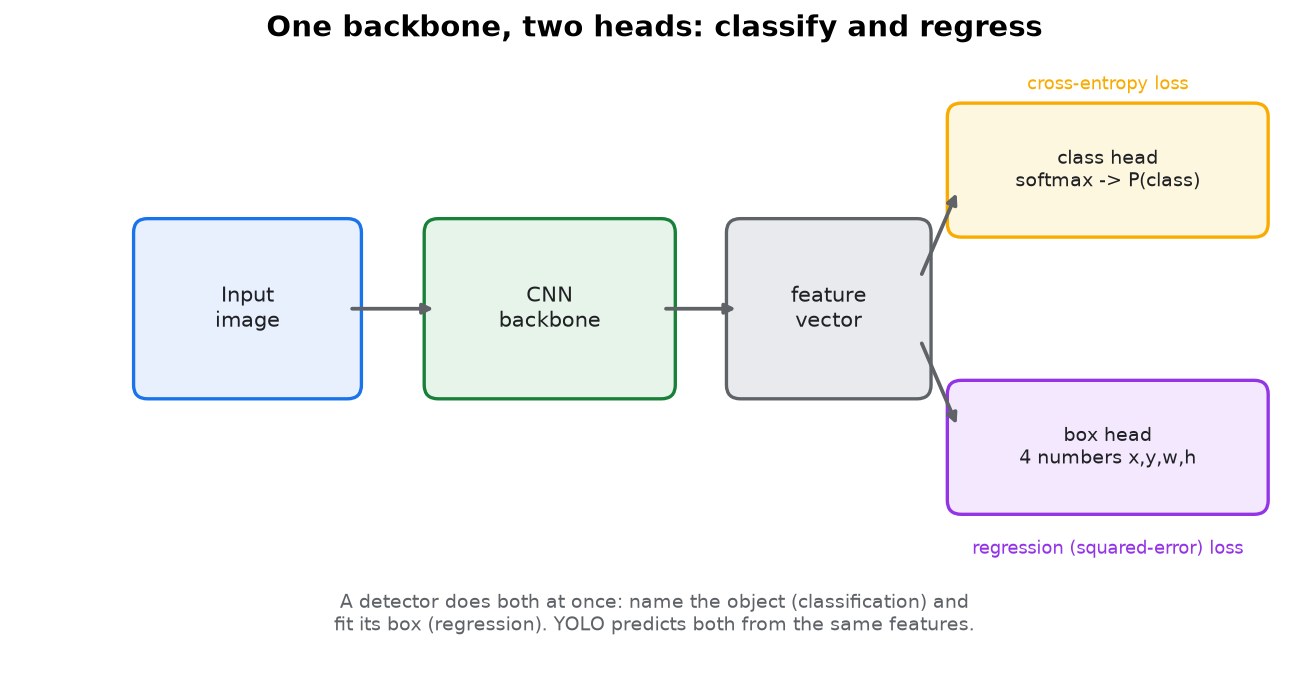 A CNN backbone feeding a feature vector into two heads: a softmax class head and a four-number box-regression head, each with its own loss