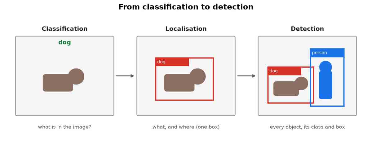 Three panels of the same dog photo: classification labels the whole image 'dog', localisation adds one box, detection adds a box per object including a person