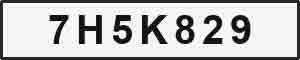 Plate resized to 300x60