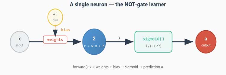 Artificial Neural Network: from scratch