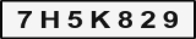 The 32x160 grayscale plate image fed to the network