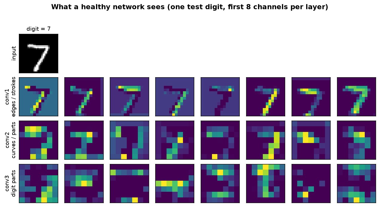 A test digit and, below it, three rows of feature maps from conv1, conv2 and conv3 of a healthy network, moving from edge/stroke detectors to coarse digit-part activations