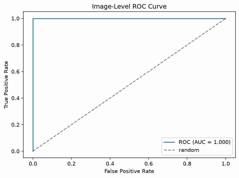 Image-level ROC curve with AUC of 1.000 showing perfect classification