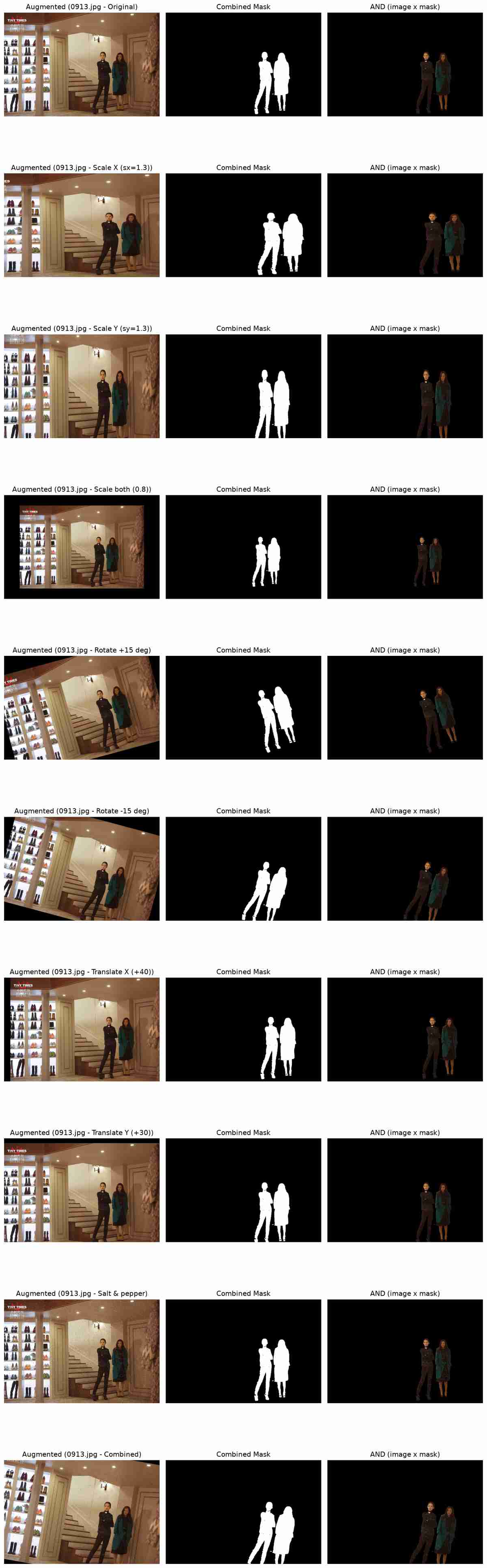 Grid of 10 augmentations applied to a sample image