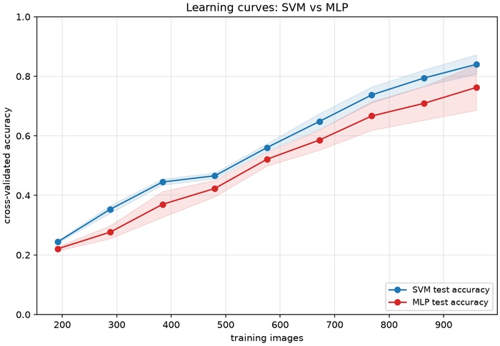 Two learning-curve lines plotting cross-validated accuracy against training-set size from about 240 to 1200 images: the SVM curve in blue rises quickly and plateaus near 0.79, the MLP curve in red climbs more gradually toward 0.73