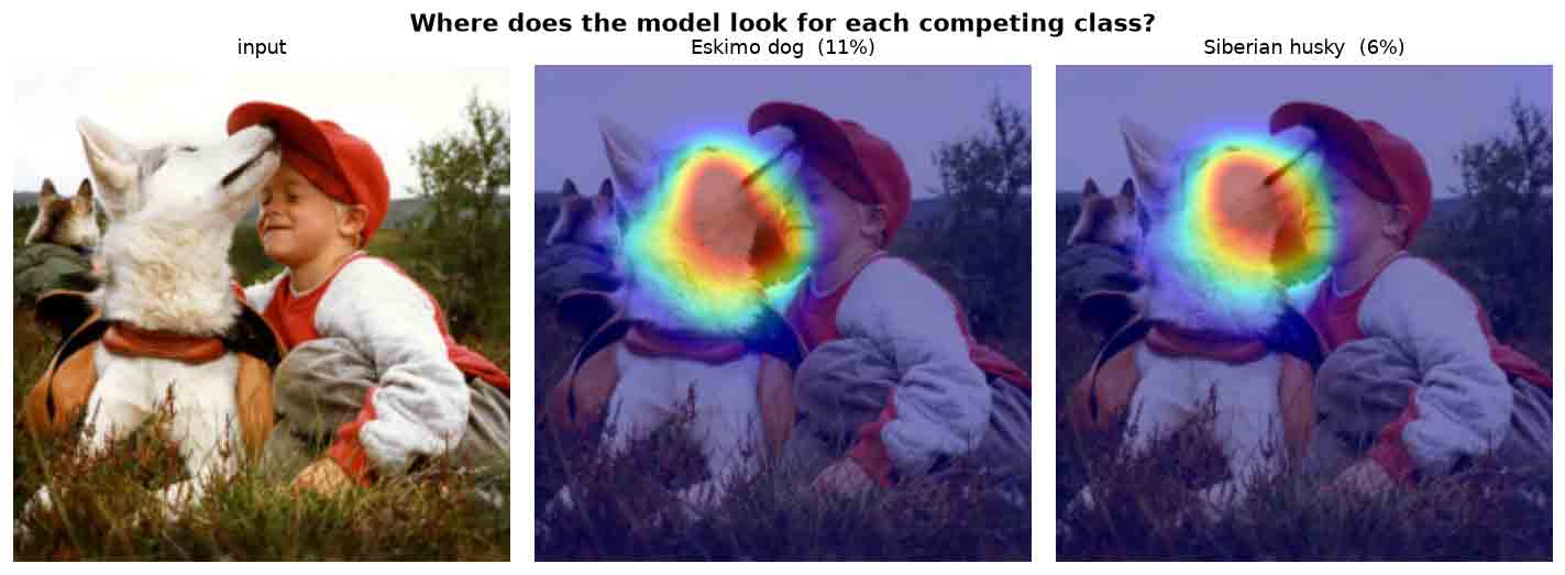 Torch-CAM: A Debugging Tool