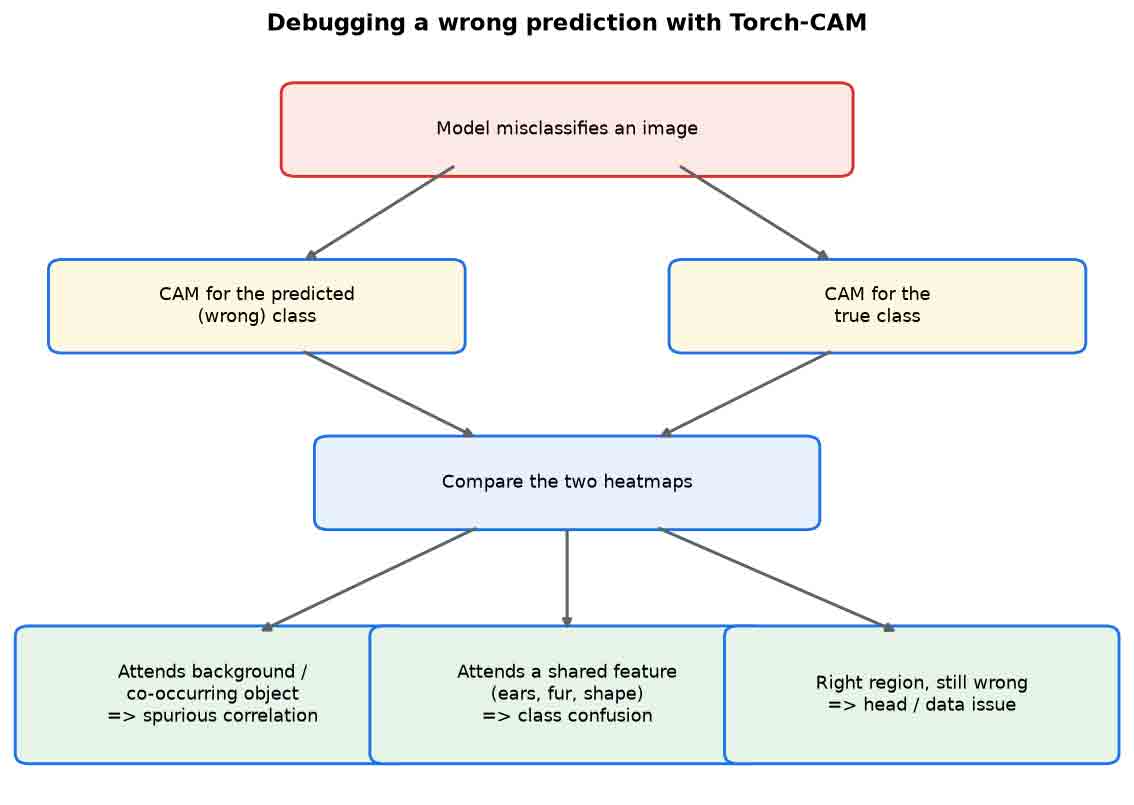 Decision tree for interpreting CAMs of a wrong prediction: background, shared feature, or head/data issue