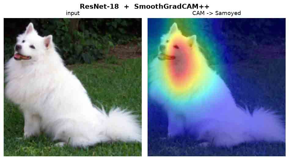 Input dog photo beside its SmoothGradCAM++ heatmap concentrated on the dog