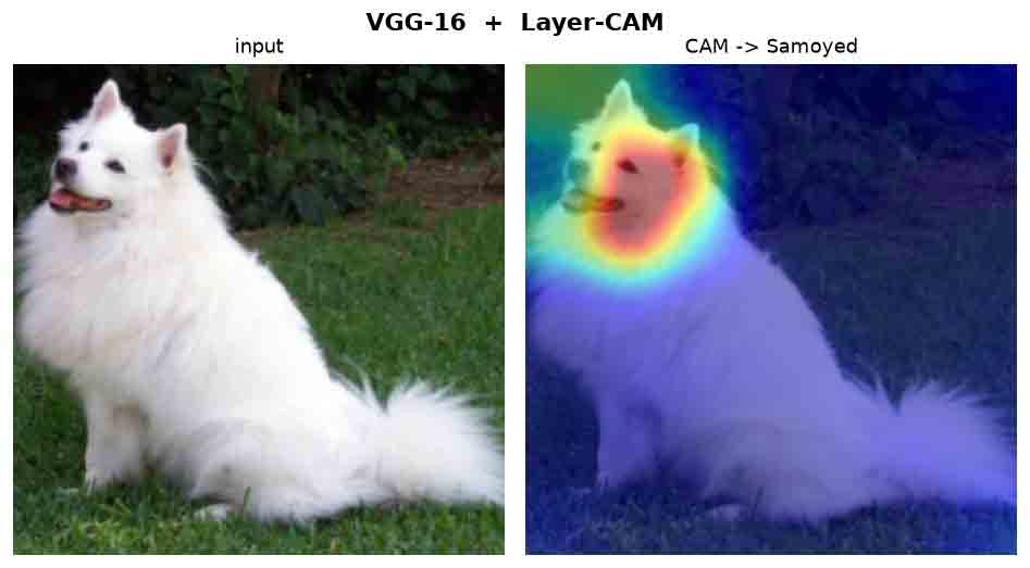 Input dog photo beside its Layer-CAM heatmap, sharper than Grad-CAM